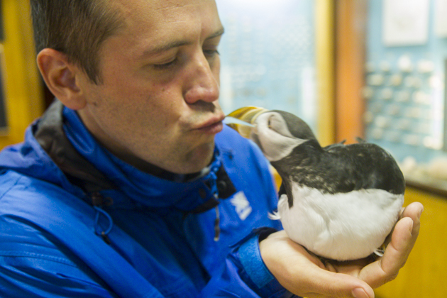 Read more about the article An Unexpected Encounter at Heimaey’s Aquarium