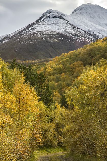 Read more about the article Fall Colors in the Eyjafjörður Valley