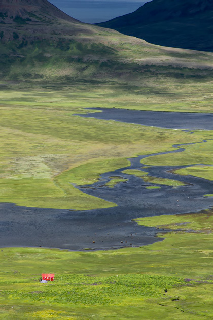 Read more about the article A Day in the Hornstrandir