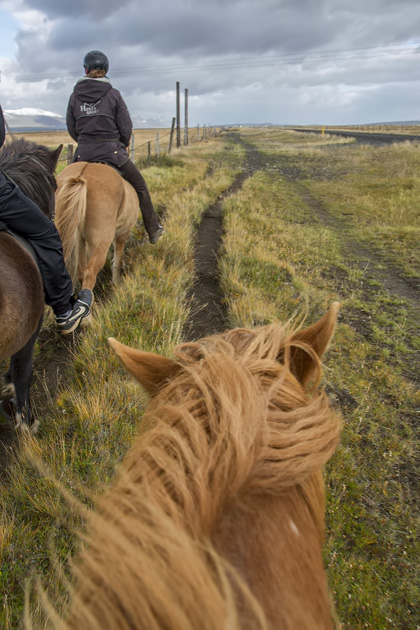 Read more about the article Me and Mósa, My Icelandic Horse