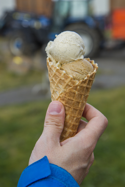 Read more about the article Ice Cream and Coffee in Eyjafjörður