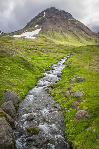Read more about the article The Western Westfjords